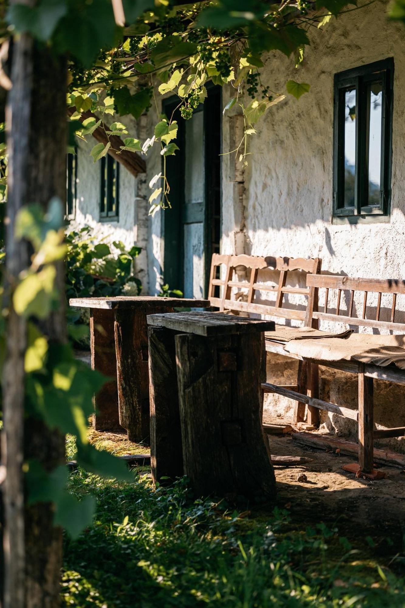 Pomona Relaxing Nature Guest House Рогашка Слатина Экстерьер фото