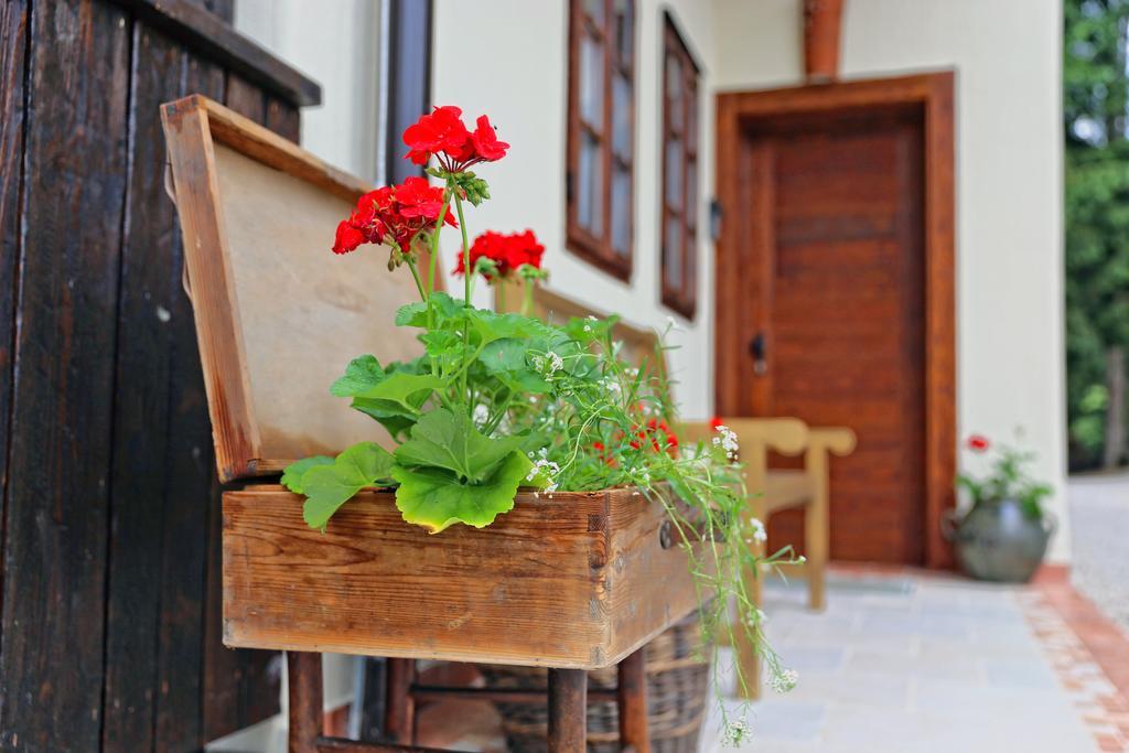 Pomona Relaxing Nature Guest House Рогашка Слатина Экстерьер фото