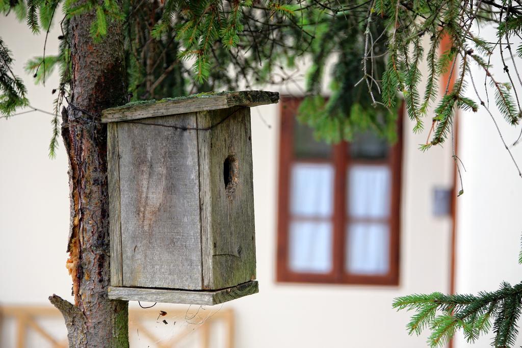 Pomona Relaxing Nature Guest House Рогашка Слатина Экстерьер фото